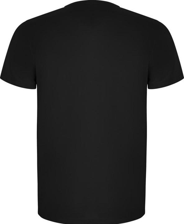 Actual product image Alpinia Mens Imola Short-Sleeved Sports T-Shirt (L)