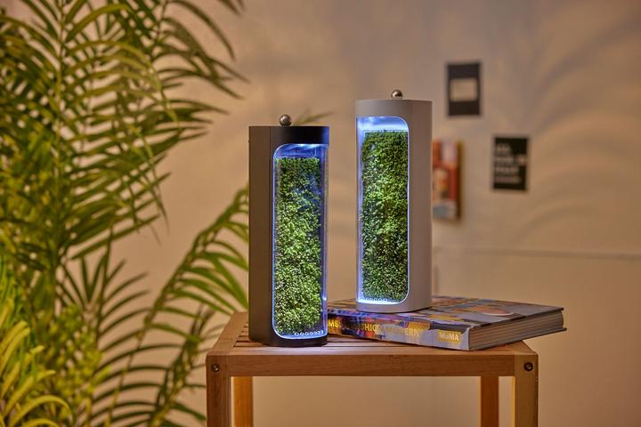 Actual product image Mosslab Air Humidifier Moss white