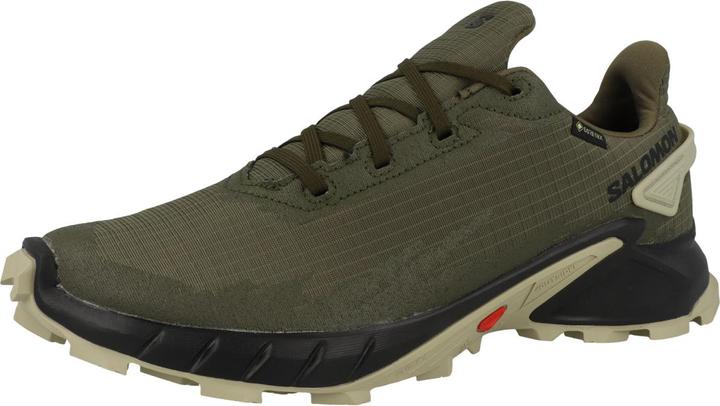 Produktbild Salomon Alphacross 4 GTX (46)