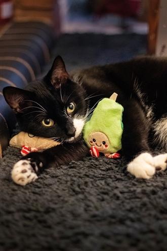 Image du produit Rosewood ensemble de speel à l'avocat / croissant