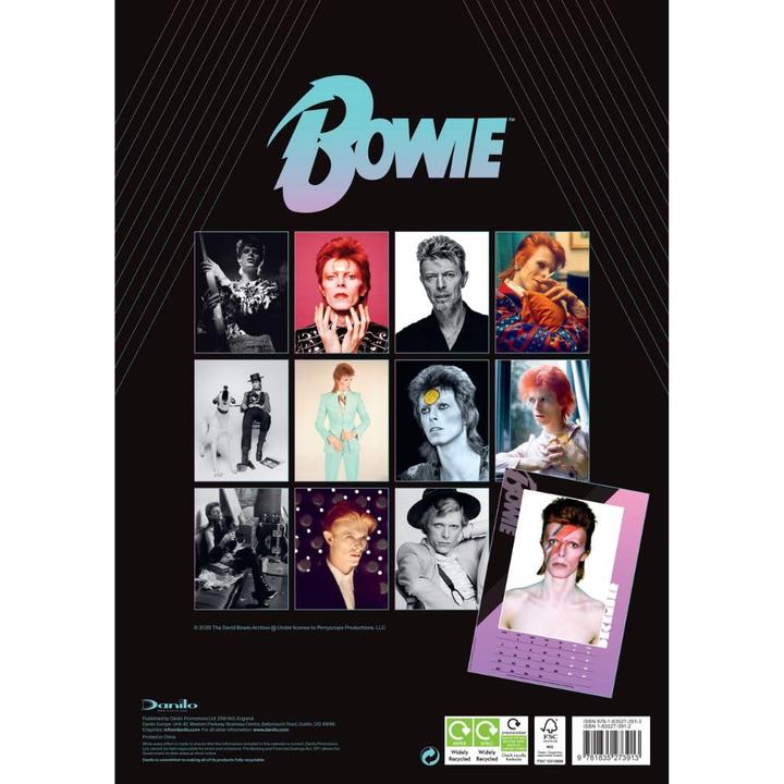 Image du produit David Bowie - Calendrier mural (A3)