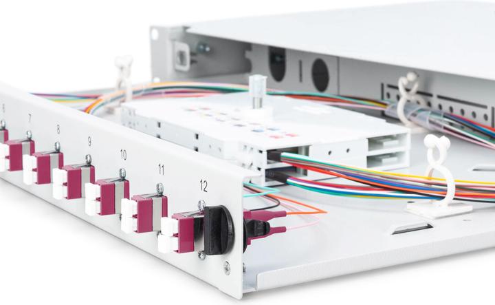 Actual product image Digitus Extendable fiber optic - splice box 1U Equipped 12xLC duplex incl. M 25 screw splice cassette F...
