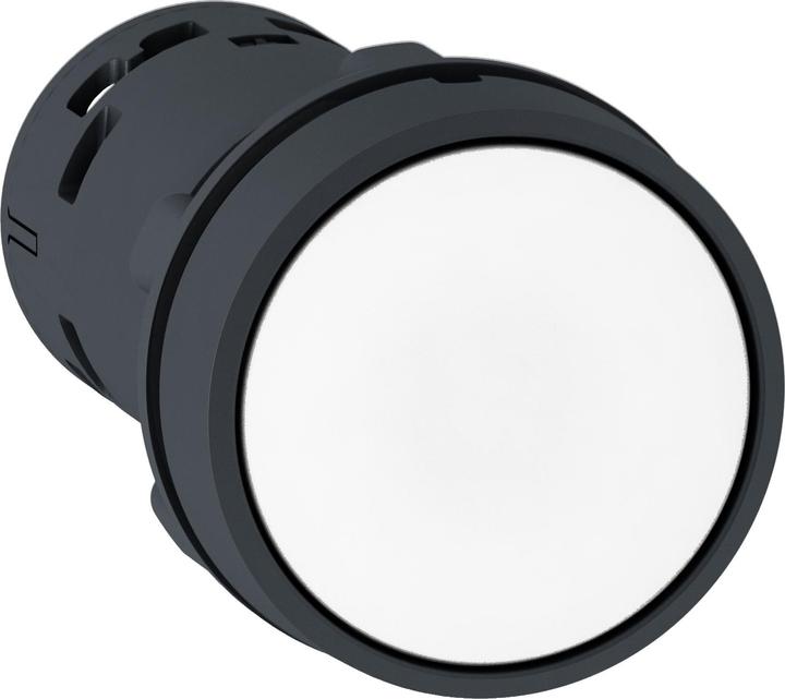 Schneider Electric Push button