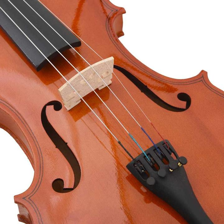 Actual product image vidaXL Geige Komplettset (Fiddle, 4/4)