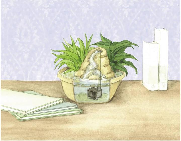 Image du produit Pontec PondoCompac 300