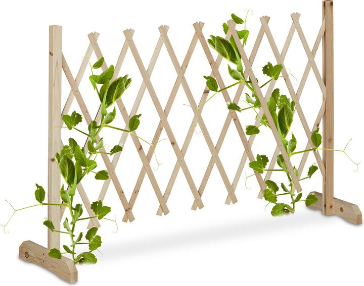 Immagine prodotto Relaxdays Traliccio (28 cm, 180 cm)