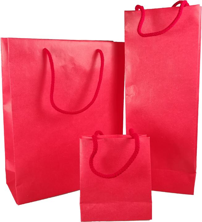 Actual product image Neutral Gift carrier bag (Gift bag, 10 x)
