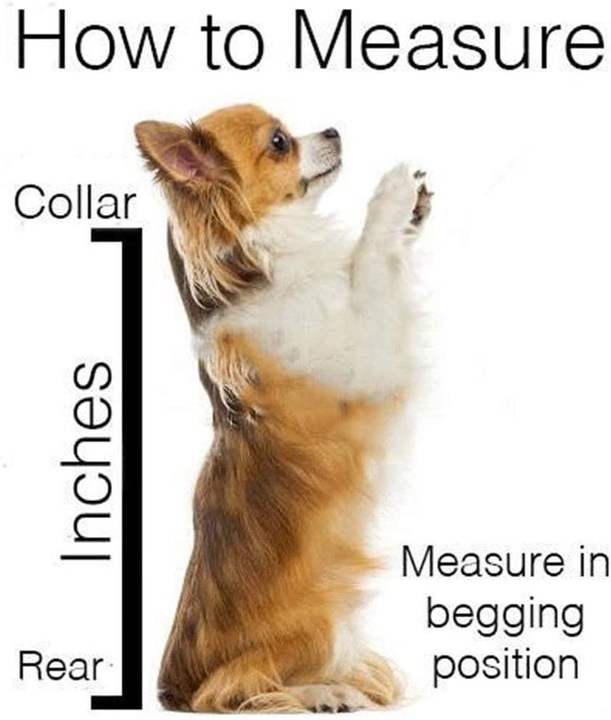 Produktbild Flkennel Hunderucksack (Hund, Faltbar)