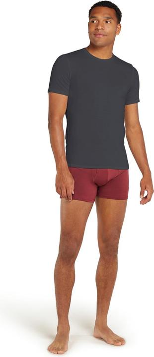 Actual product image Icebreaker Anatomica (S)