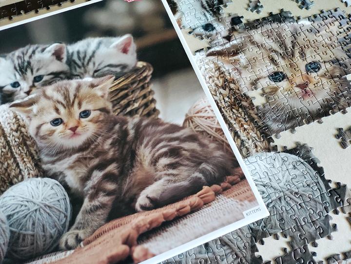 Produktbild Tactic Cute Kittens 1000 pcs (1000 Teile)