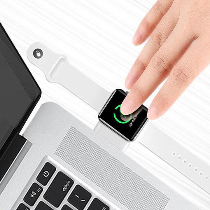Actual product image PhoneLook Magnetic Portable USB Charger