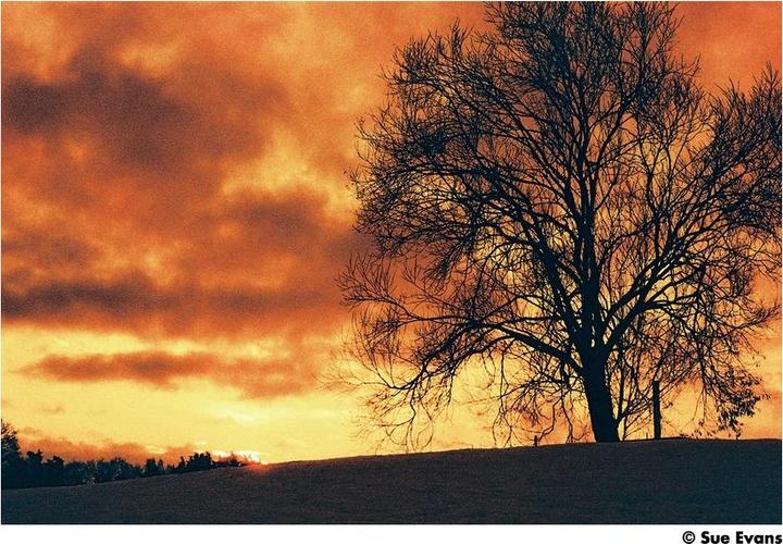 Produktbild Harman Photo Red 125