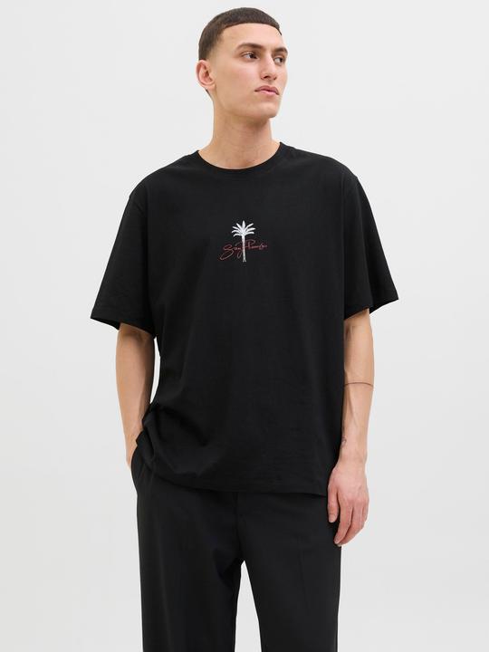 Image du produit Jack & Jones Jorbradley Goldengate Tee Ss C.N Stmss25 (M)