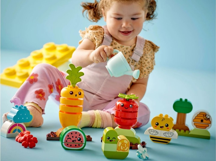 Image du produit LEGO Jardin biologique (10984)