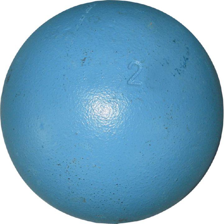 Actual product image Huspo Training (2000 g)