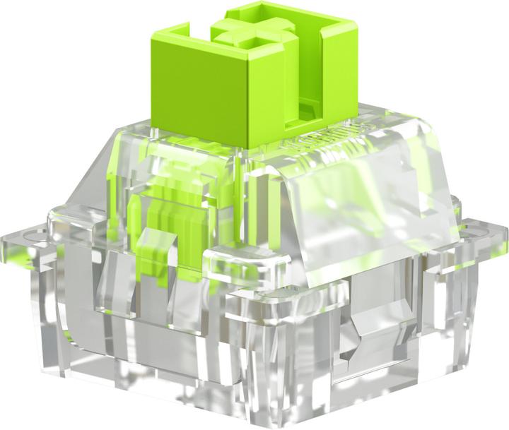 Produktbild Glorious HE Switches (36pcs) - Raptor - Lubed - (Clicky) 55g