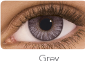 Produktbild Freshlook One Day Color (Grau)
