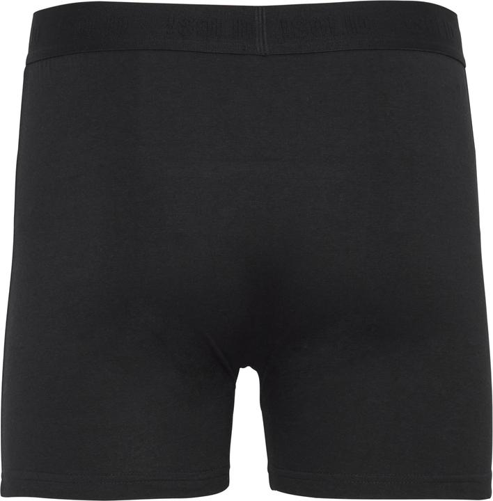 Immagine prodotto Solid Tyrone (x5) (L, Confezione da 5 pezzi)