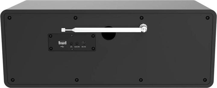 Actual product image Telestar Top 300 (DAB+, FM, Web radio, Wi-Fi, Bluetooth)
