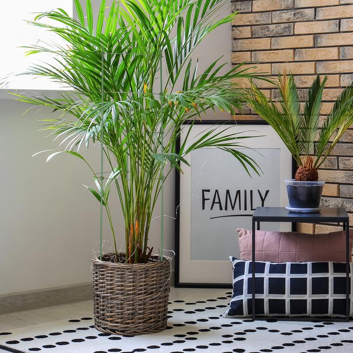 Actual product image Relaxdays 2x climbing aid (28 cm, 28 cm)