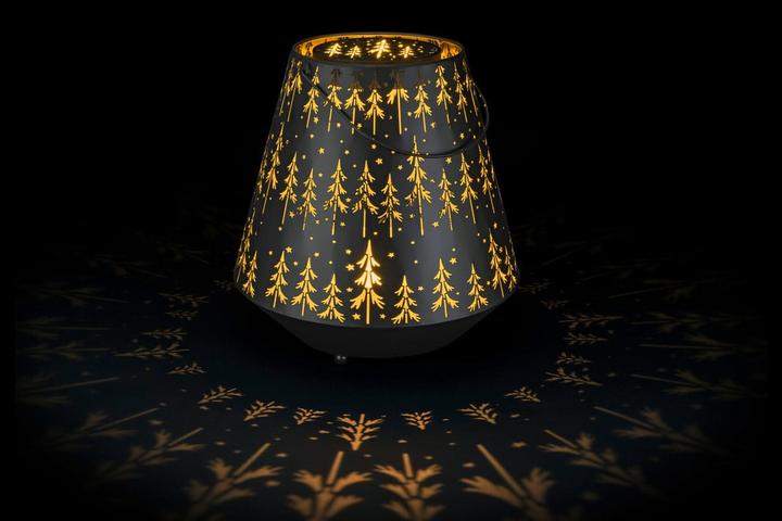Actual product image STT Outdoor Light