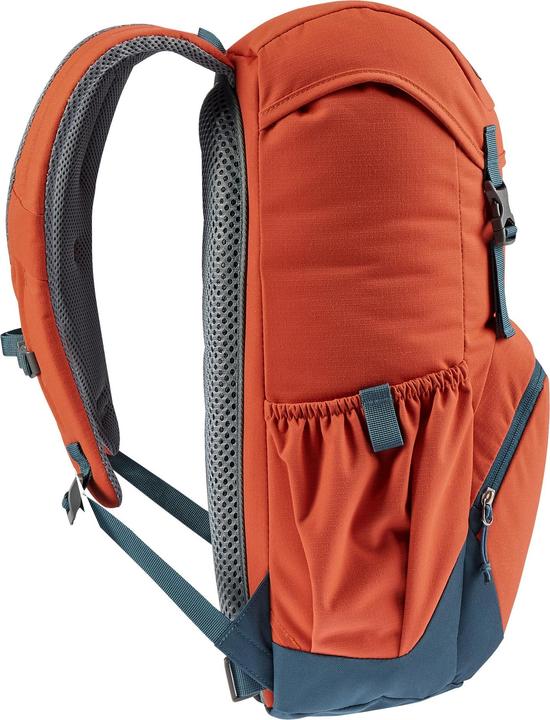 Actual product image Deuter Walker 20 (20 l)