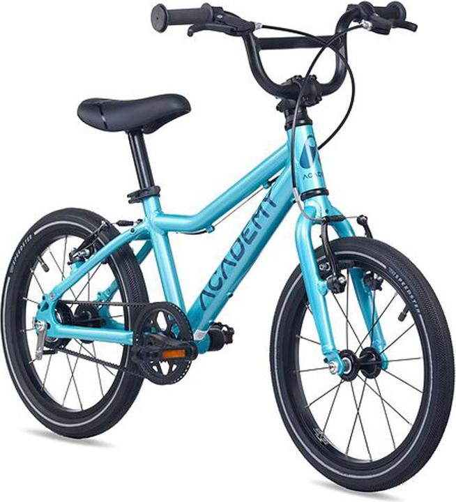 Academy Grade 3 Belt (16")