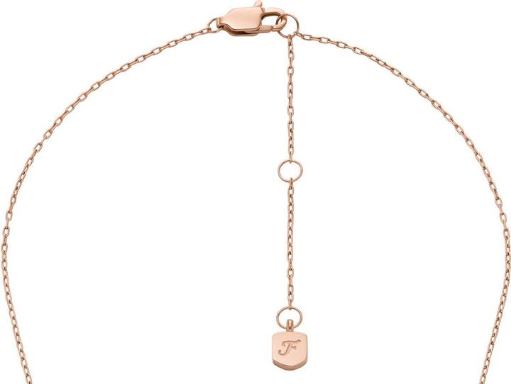 Image du produit Fossil Merrit Halskette (Acier inoxydable, 45 cm)