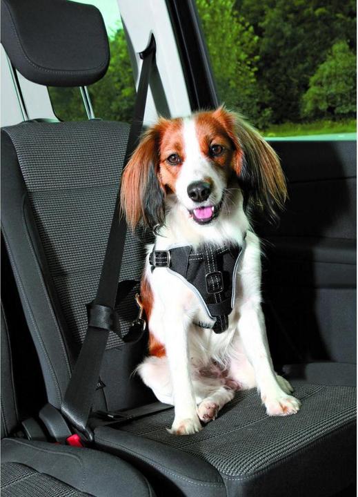 Actual product image Trixie Car Harness Dog Protect (Dog, Reflectors, Foldable)
