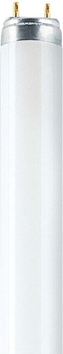 Immagine prodotto Osram Lampada fluorescente (G13, 36 W, 3350 lm, 1 x, G)