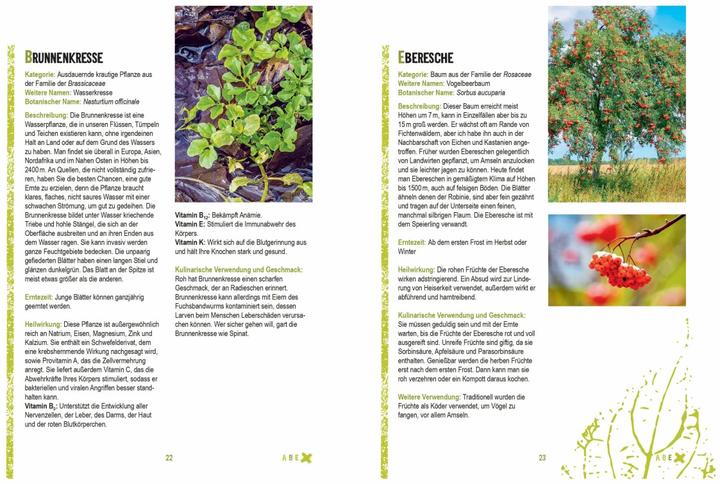 Immagine prodotto Survivalpflanzen. Die 100 wichtigsten Pflanzen zum Überleben in der Wildnis (Tedesco, Denis Tribaudeau, 2023)