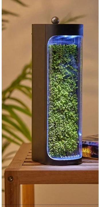 Mosslab Umidificatore d'aria Moss nero
