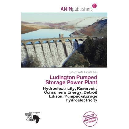 Ludington Pumped Storage Power Plant, Fachbücher