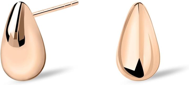 Immagine prodotto Ohrstecker (Acciaio inossidabile)