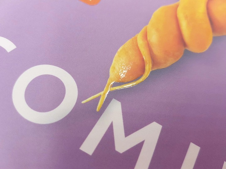 Produktbild Keep It Coming (Deutsch, Dania Schiftan, 2021)