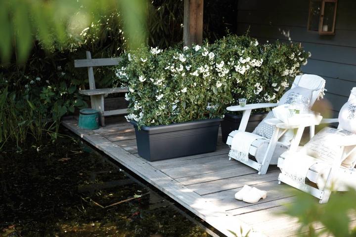 Produktbild Elho Green Basics Garten Xxl (96 cm)