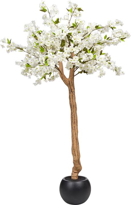 Produktbild Beliani Cherry Tree (180 cm)