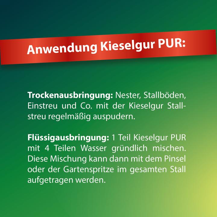 Actual product image Röhnfried Diatomaceous earth pure (0.60 kg, Sand)