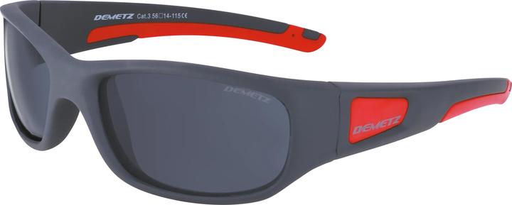 Produktbild Demetz Liken, grau polarized (3)