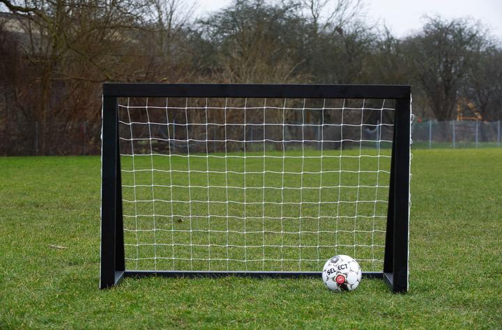 Actual product image Euro Play Homegoal Pro Mini - Sort