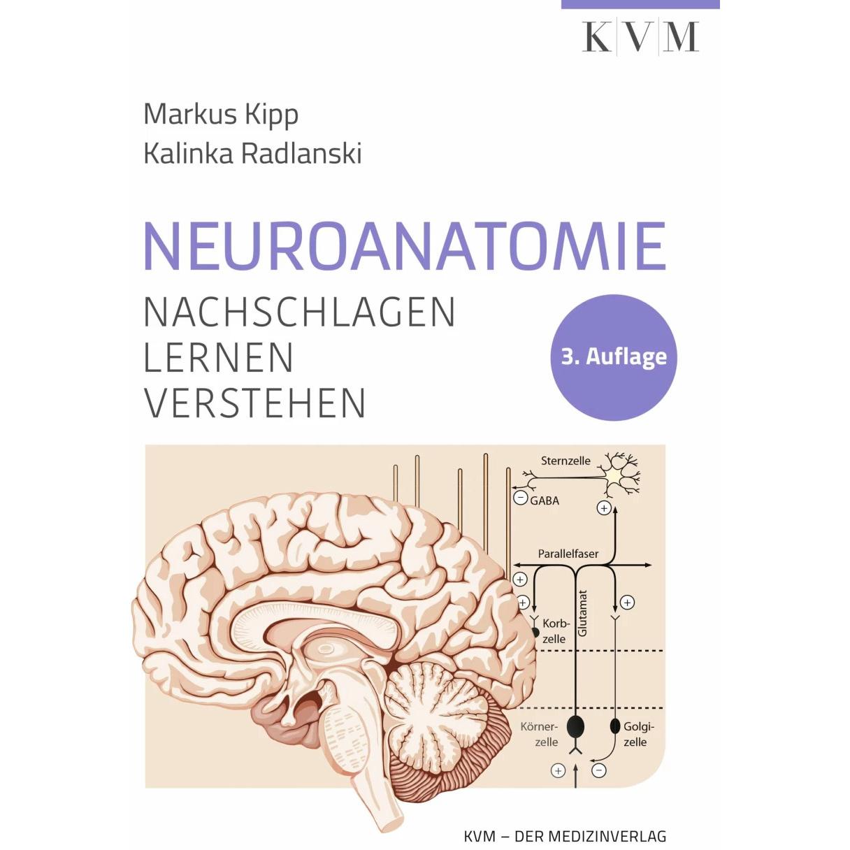 Neuroanatomie, Fachbücher von Markus Kipp, Kalinka Radlanski
