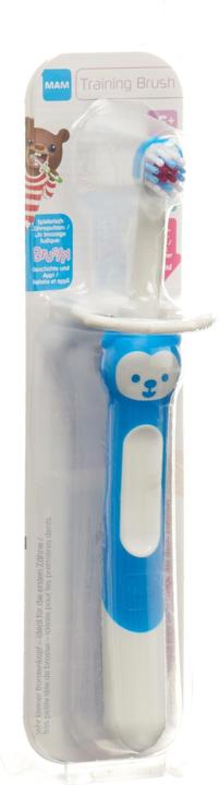 Produktbild MAM Training Brush assortiert (Extra weich, 1 x)