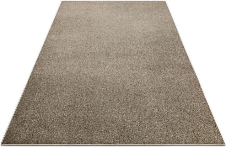 Produktbild Wecon Home Teppich Tim (300 x 200 cm)