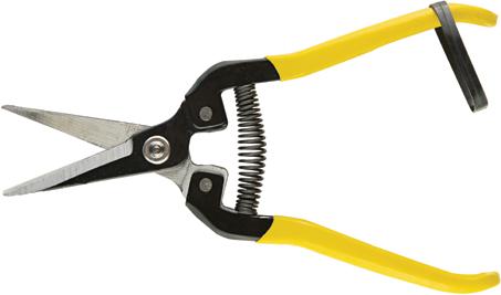 Actual product image Australian S.R.L Reading scissors straight blade