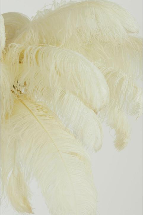 Actual product image Light & Living Feather