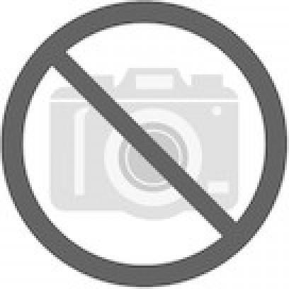 Produktbild Bernardo Cantina Bernardo - Kopiermeissel in HSS-Qualität für KDM 1000 eco