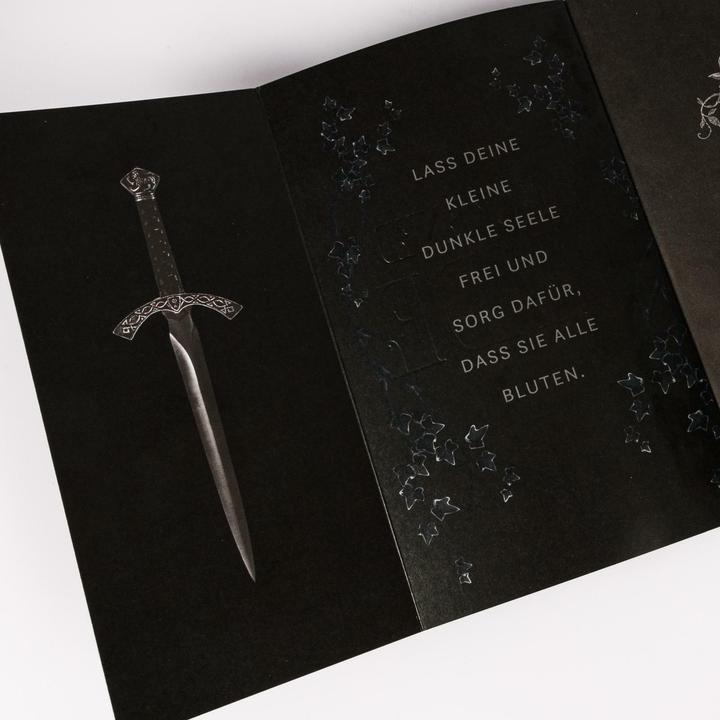 Produktbild Blackened Blade 1: The Blackened Blade (Deutsch, Larissa Bendl, Isla Davon, 2025)