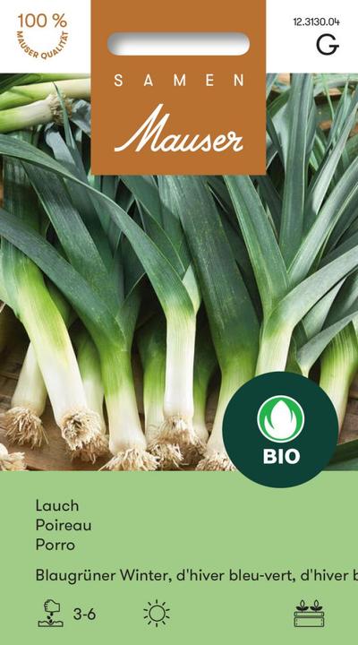 Actual product image Samen Mauser Bud Organic Leek Blue Green Winter (Flower bulbs)