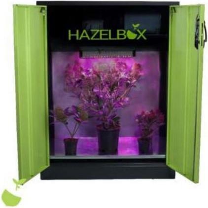 Produktbild Hazelbox Compact