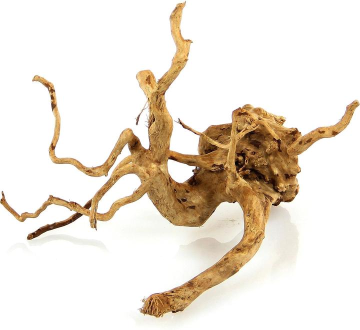 Actual product image Amazonas World Finger root (1 pc) (Basics, Basics)